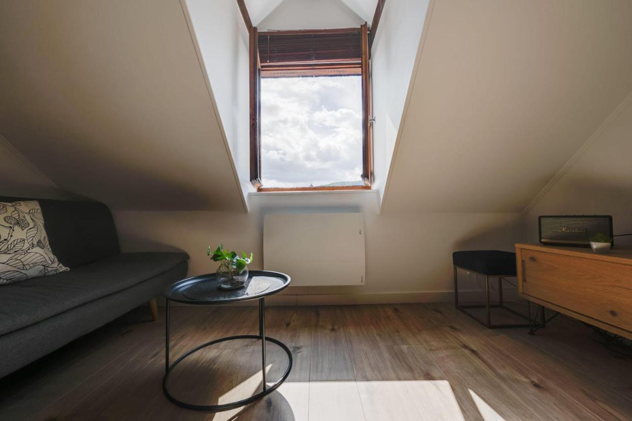 Duplex Vue Montagne - Ideally Located With Its View Annecy Ngoại thất bức ảnh